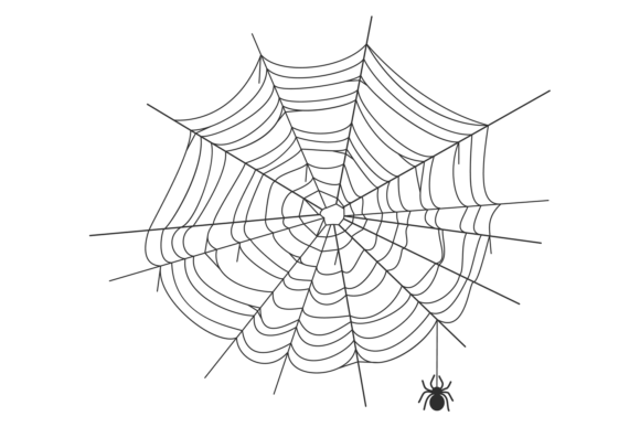 Download Spiderweb Graphic Element. Round Net Bla - Graphic Collection