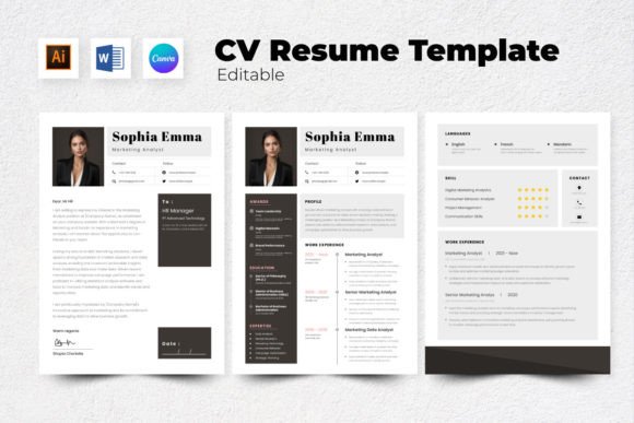 Download Resume / CV Marketing Analyst V1 - Analyst Collection