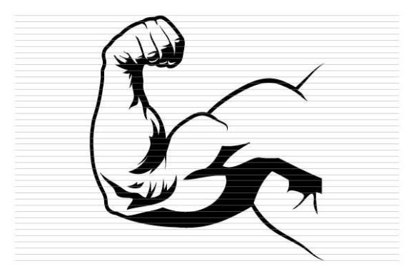 Download Body Building Man Arm Muscle - Premium Resources
