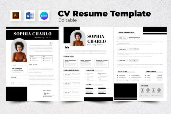 Download Resume / CV Marketing Analyst V9 - Analyst Collection