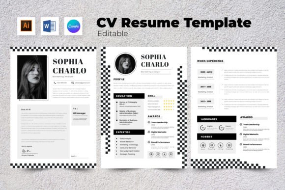 Download Resume / CV Marketing Analyst V5 - Analyst Collection