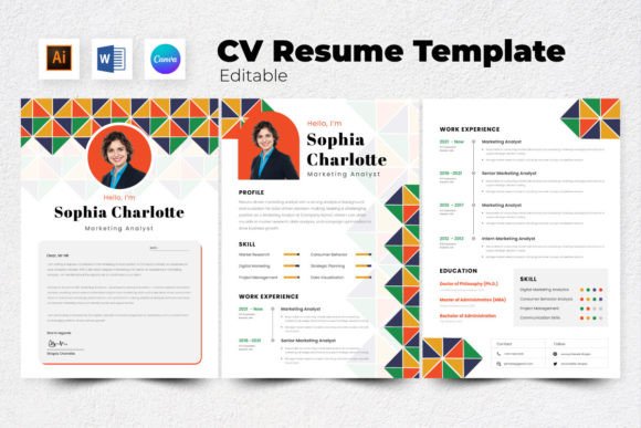 Download Resume / CV Marketing Analyst V3 - Analyst Collection